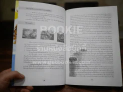 ไก่ทอดหาดใหญ่ รูปที่ 3