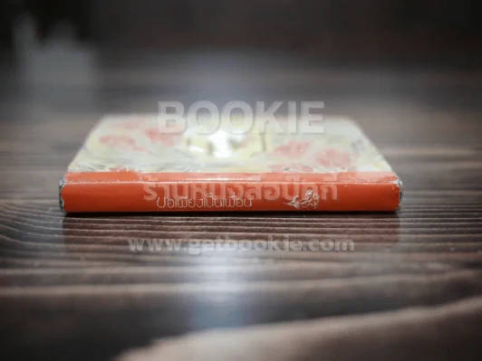ขอเพียงเป็นเพื่อน - นวลศิริ เปาโลหิตย์ รูปที่ 2