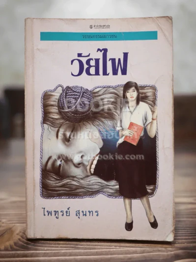 วัยไฟ -ไพฑูรย์ สุนทร รูปที่ 1