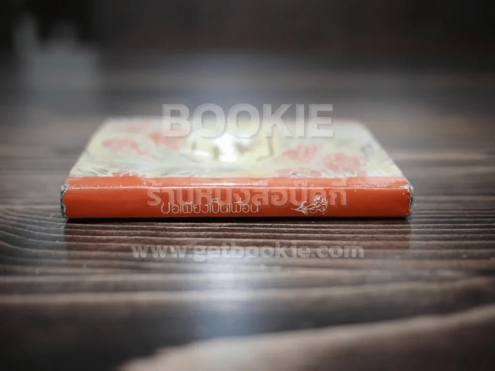 ขอเพียงเป็นเพื่อน - นวลศิริ เปาโลหิตย์ รูปที่ 2