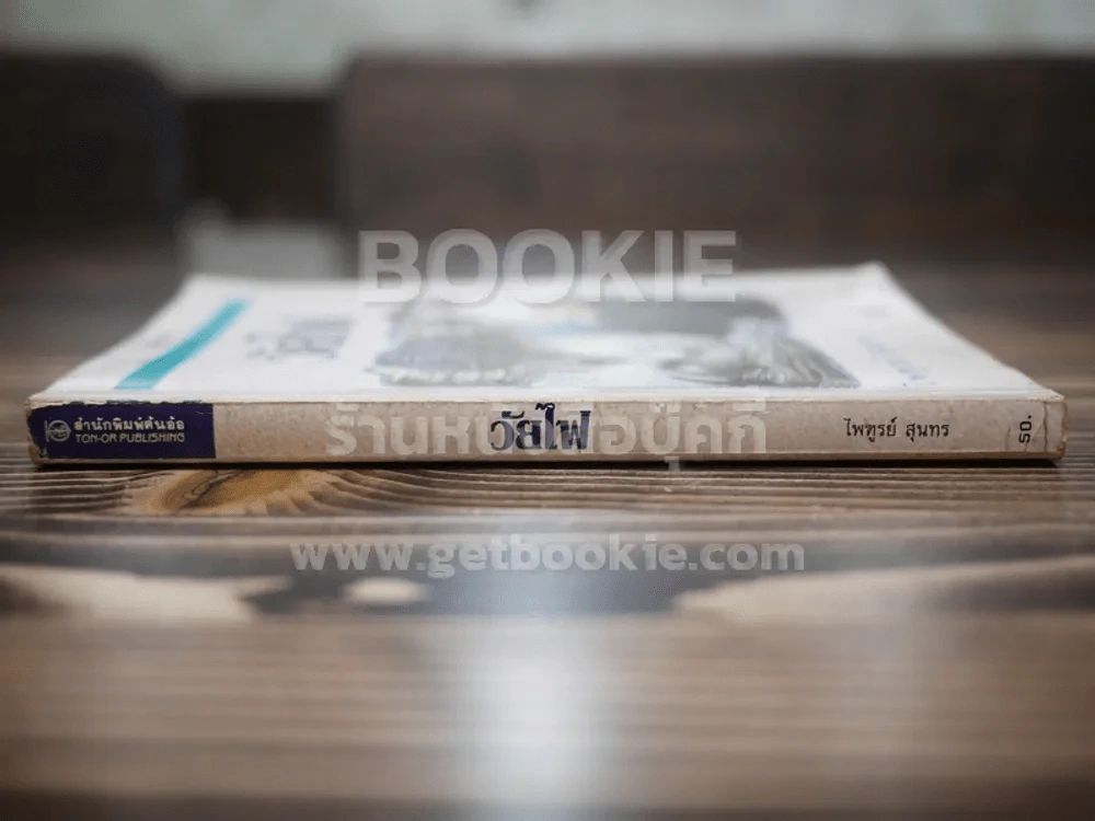 วัยไฟ -ไพฑูรย์ สุนทร รูปที่ 2