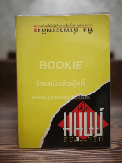 ยอดมนุษย์สุดจริต - พิง ลำพระเพลิง รูปที่ 1