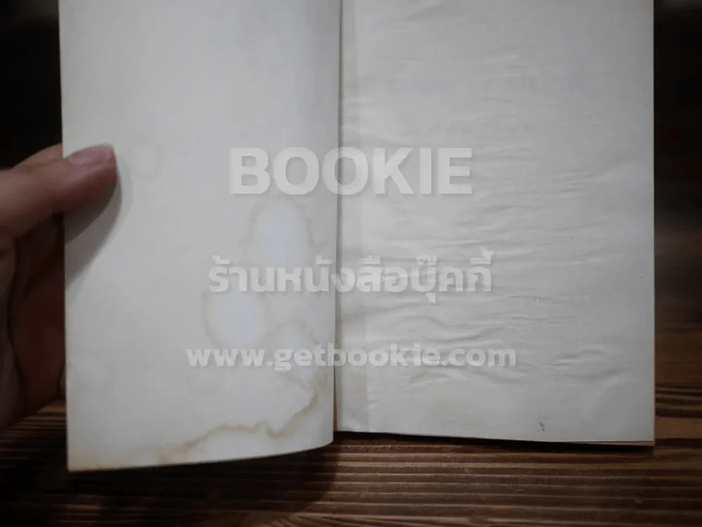 จอมคาถาหน้าตี๋ - ดอนเขียน (สภาพบวมน้ำ) รูปที่ 3