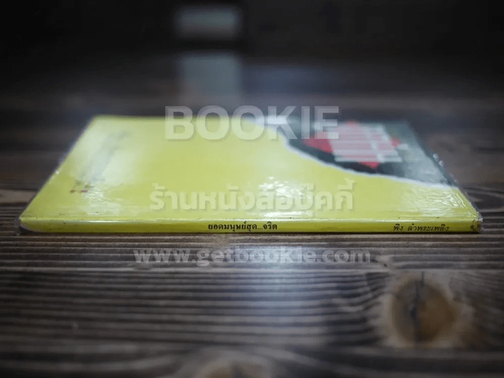 ยอดมนุษย์สุดจริต - พิง ลำพระเพลิง รูปที่ 2
