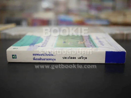 ขอหมอนใบนั้นที่เธอฝันยามหนุน รูปที่ 2