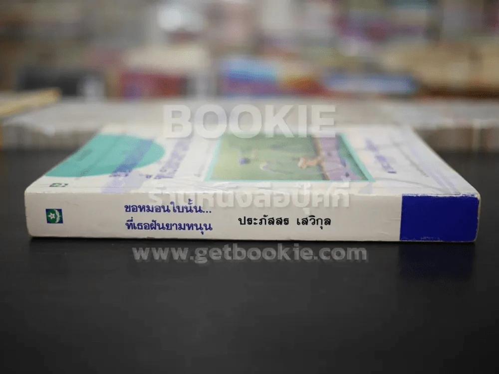ขอหมอนใบนั้นที่เธอฝันยามหนุน รูปที่ 2