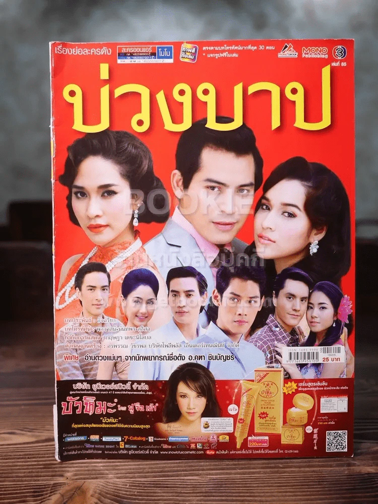บ่วงบาป - ปอ ทฤษฎี รูปที่ 1