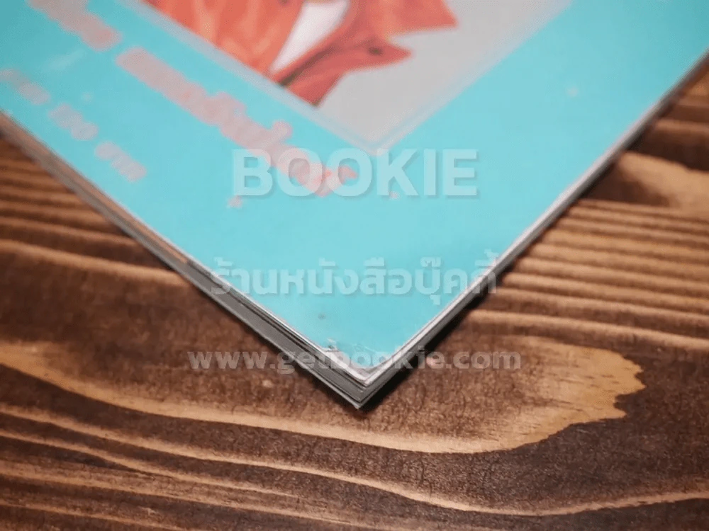 อัลบั้มรวมภาพ เบิร์ด ธงไชย แมคอินไตย์ รูปที่ 11