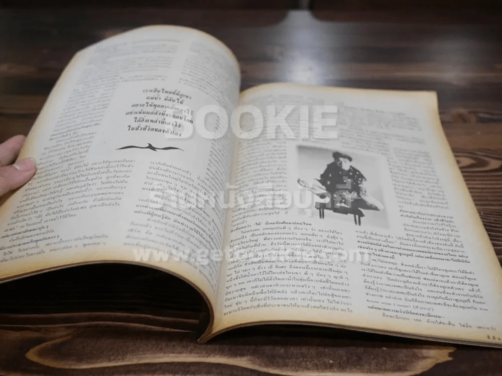 สีสัน ปีที่ 3 ฉบับที่ 5 เกิดมาเป็นเบิร์ด รูปที่ 5