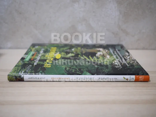 สวนในบ้าน เล่ม 10 สวนจัดเอง รูปที่ 2