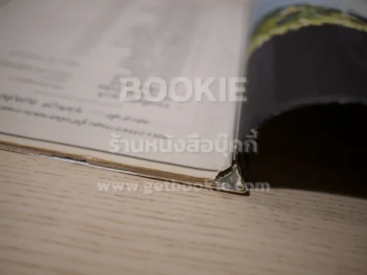 อาลัยพุ่มพวง ดวงจันทร์ (ตรงมุมมีตำนิตามภาพ) รูปที่ 3
