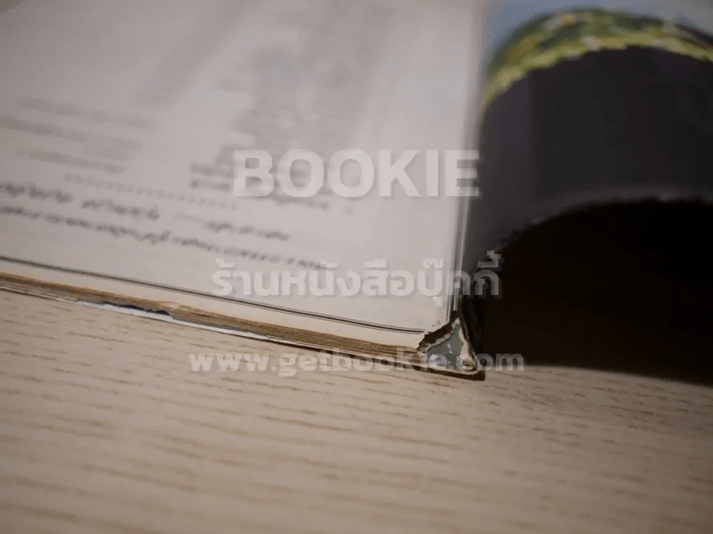 อาลัยพุ่มพวง ดวงจันทร์ (ตรงมุมมีตำนิตามภาพ) รูปที่ 3