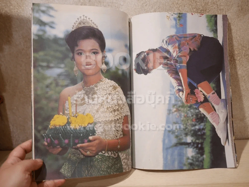 อาลัยพุ่มพวง ดวงจันทร์ (ตรงมุมมีตำนิตามภาพ) รูปที่ 5