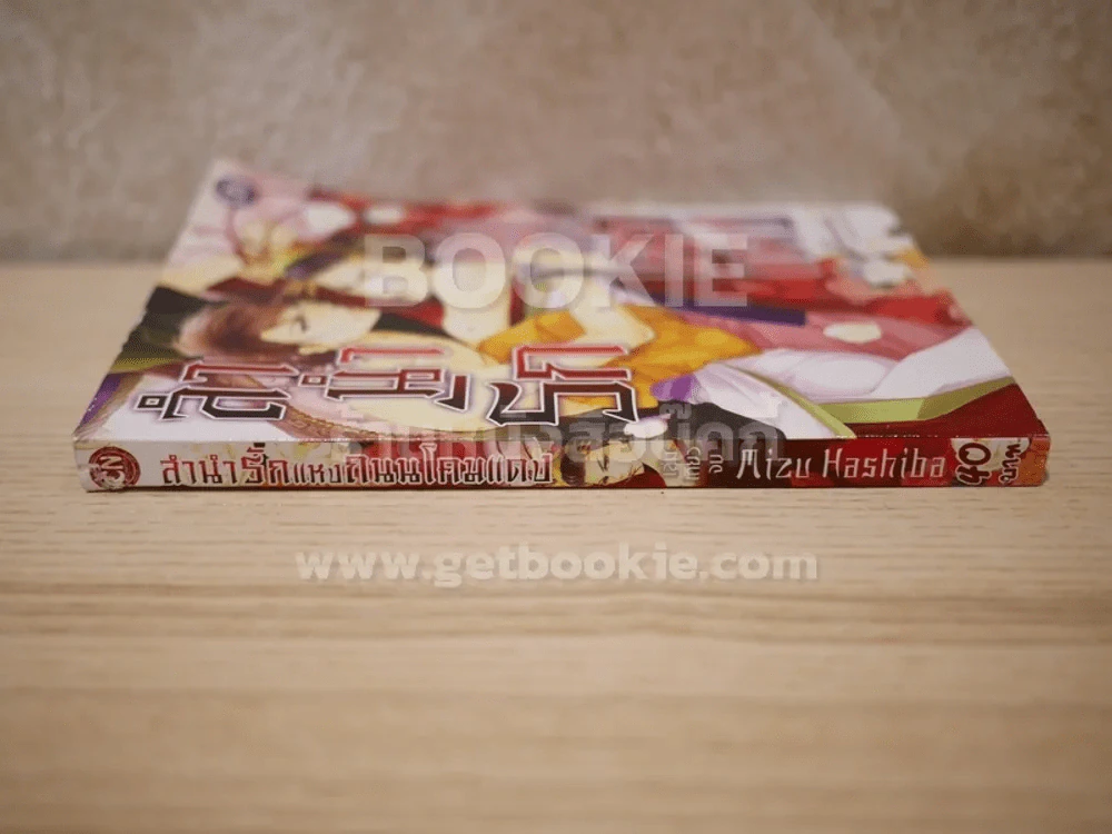 ลำนำรักแห่งถนนโคมแดง รูปที่ 2