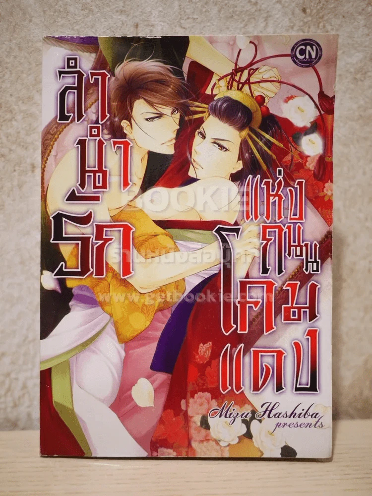 ลำนำรักแห่งถนนโคมแดง รูปที่ 1