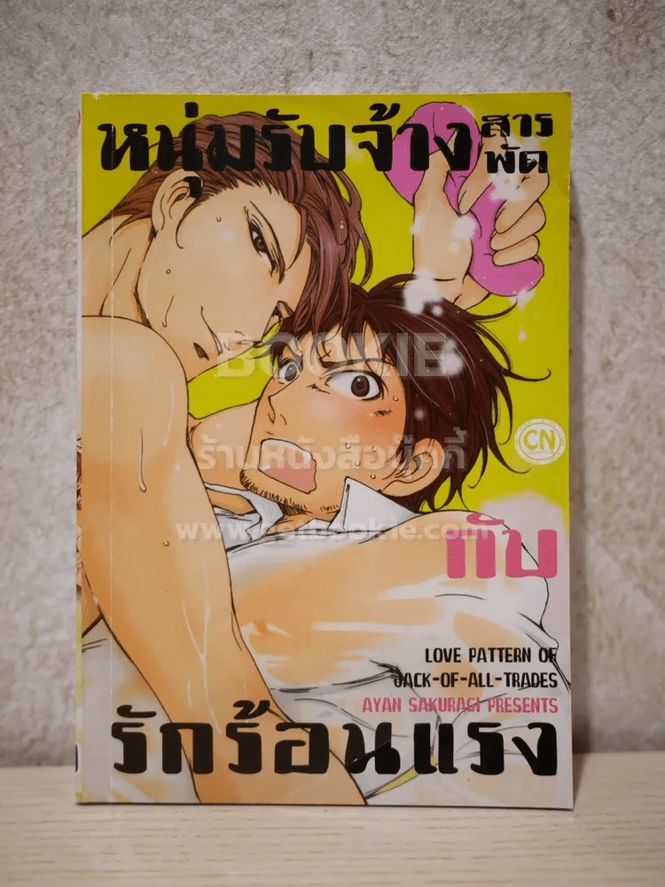 หนุ่มรับจ้างสารพัดกับรักร้อนแรง รูปที่ 1