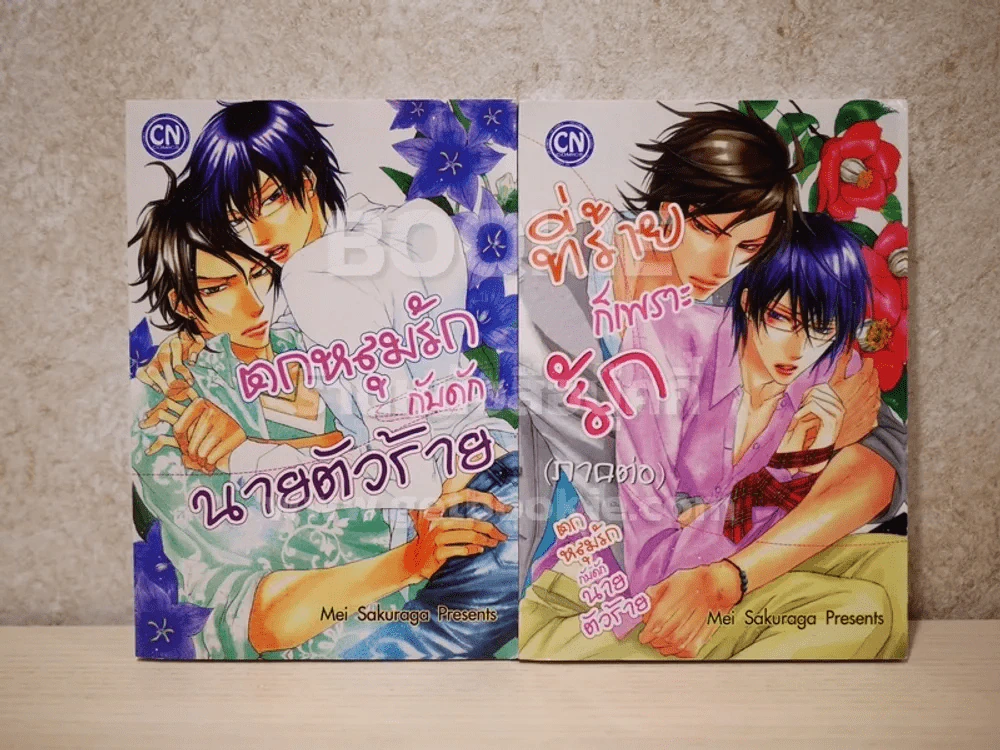 ที่ร้ายก็เพราะรัก (ภาคต่อ)  + ตกหลุมรักกับดักนายตัวร้าย รูปที่ 1