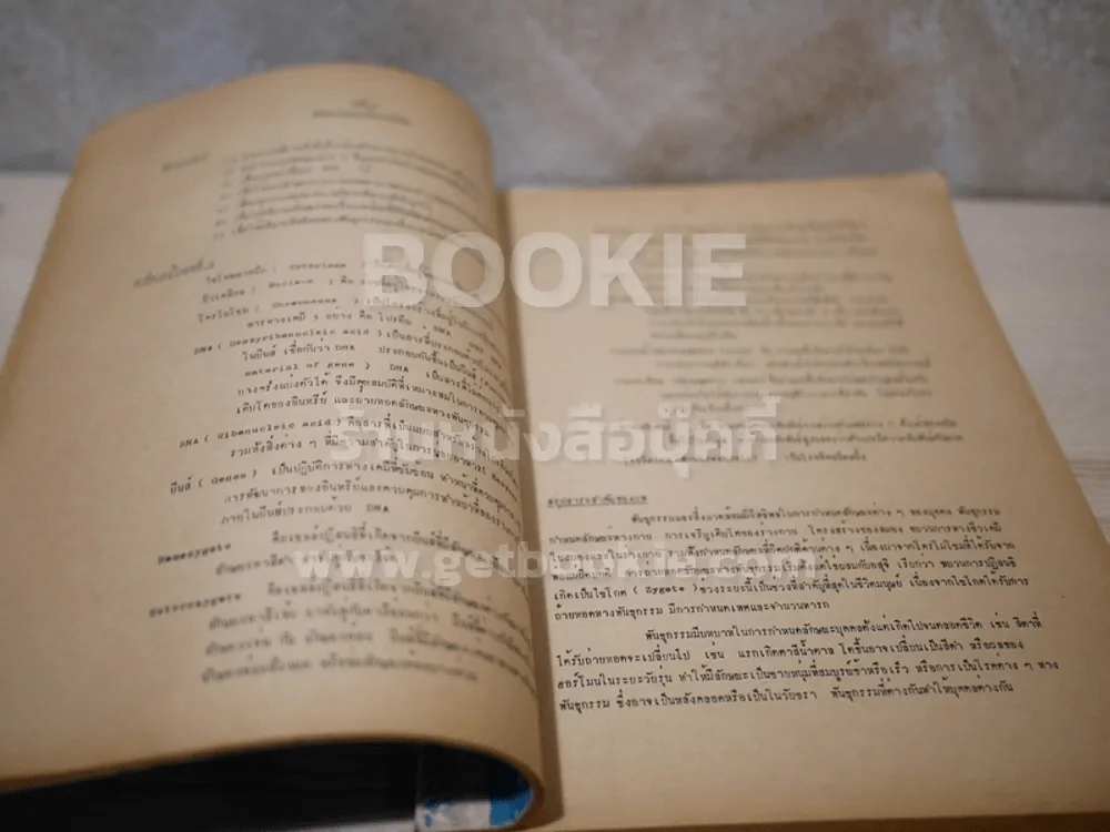 คู่มือจิตวิทยาทั่วไป รูปที่ 4