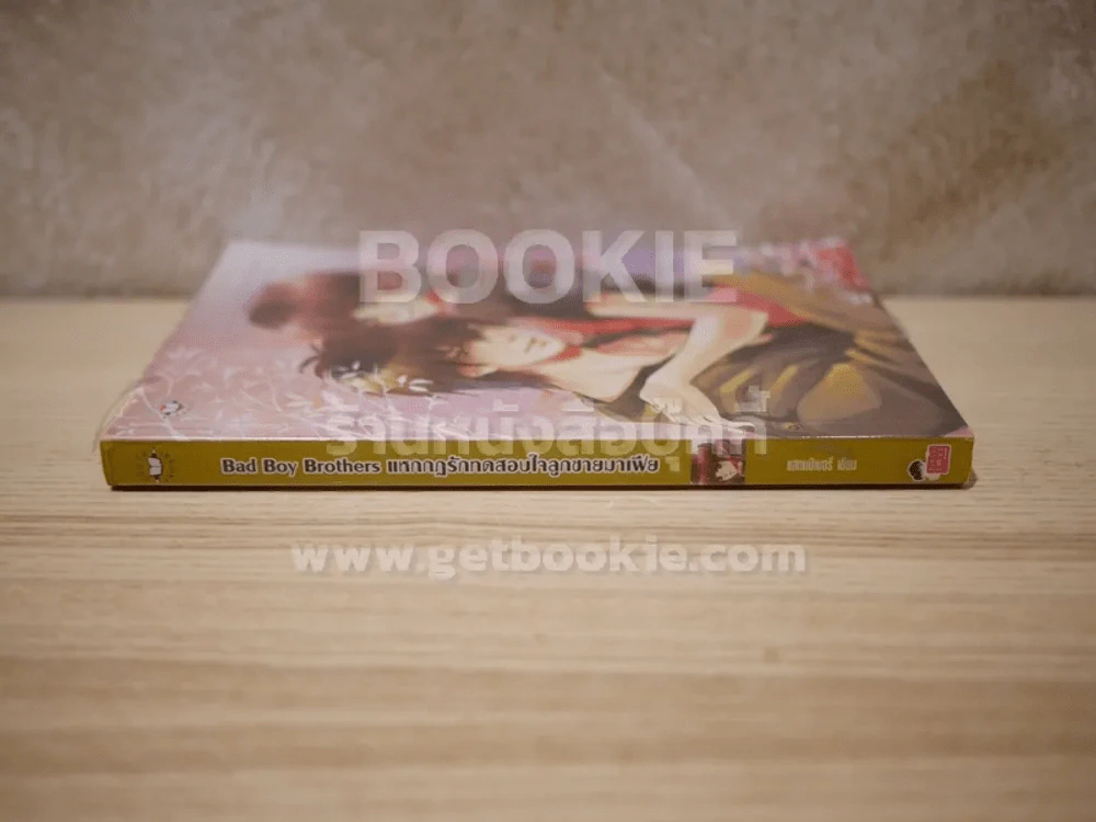 Bad Boy Brothers แหกกฎรักทดสอบใจลูกชายมาเฟีย รูปที่ 2