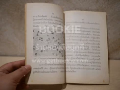 ความรู้เรื่องโลกไต สำหรับประชาชน รูปที่ 3