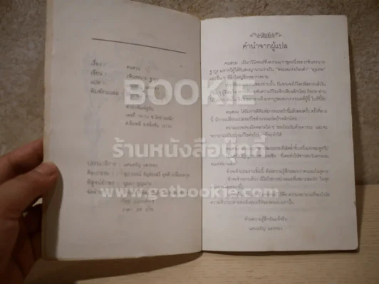 คนสวน - รพินทรนาถ ฐากูร (แดนอรัญ แสงทอง แปล) บทกวี รูปที่ 4
