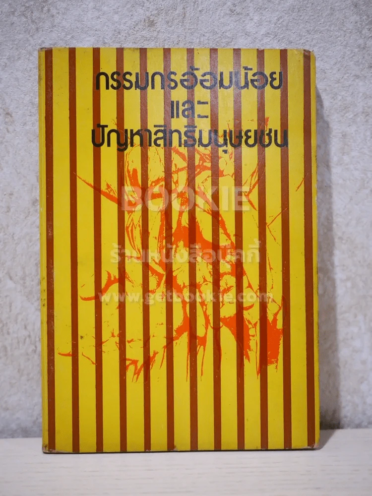 กรรมกรอ้อมน้อยและปัญหาสิทธิมนุษยชน รูปที่ 1