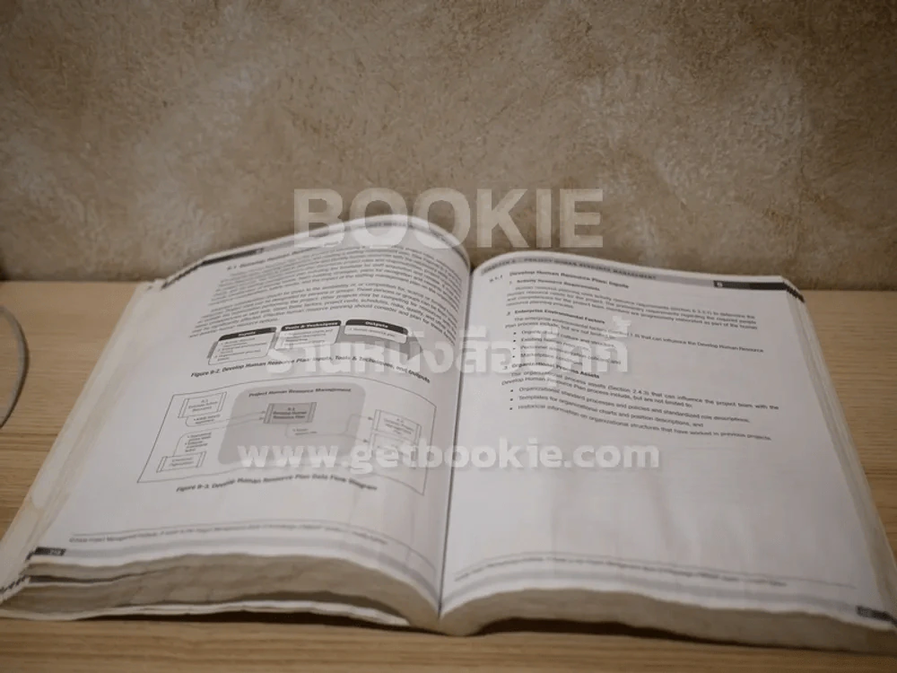 A Guide to the Project Management Body of Knowledge (Pmbok Guide) สภาพบวมน้ำ รูปที่ 8