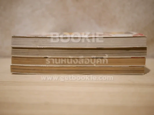 แว่วเสียงเรไร (บทไถ่บาป) 4 เล่มจบ รูปที่ 3