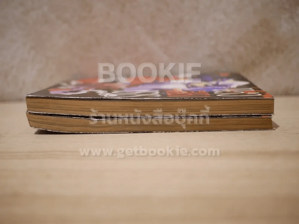 แว่วเสียงเรไร (บทข้ามเวลา) 2 เล่มจบ รูปที่ 3