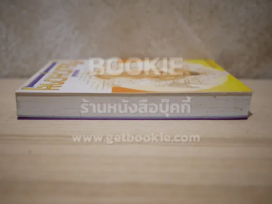 เวียงกุมกาม - ทมยันตี รูปที่ 3