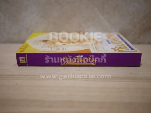 เวียงกุมกาม - ทมยันตี รูปที่ 2