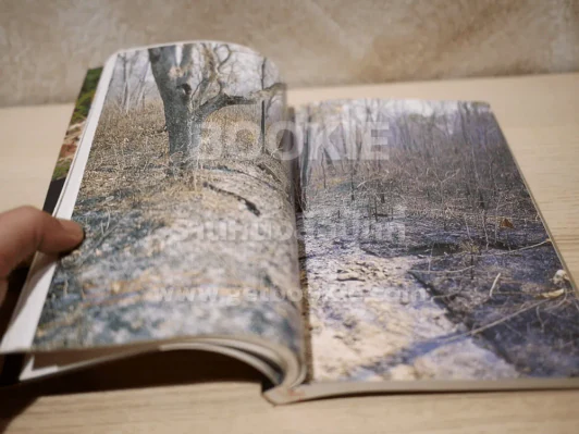 หลังเลนส์ในดงลึก - ม.ล.ปริญญากร วรวรรณ รูปที่ 8