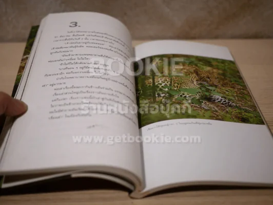 หลังเลนส์ในดงลึก - ม.ล.ปริญญากร วรวรรณ รูปที่ 9