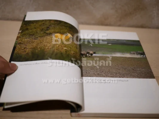 หลังเลนส์ในดงลึก - ม.ล.ปริญญากร วรวรรณ รูปที่ 6