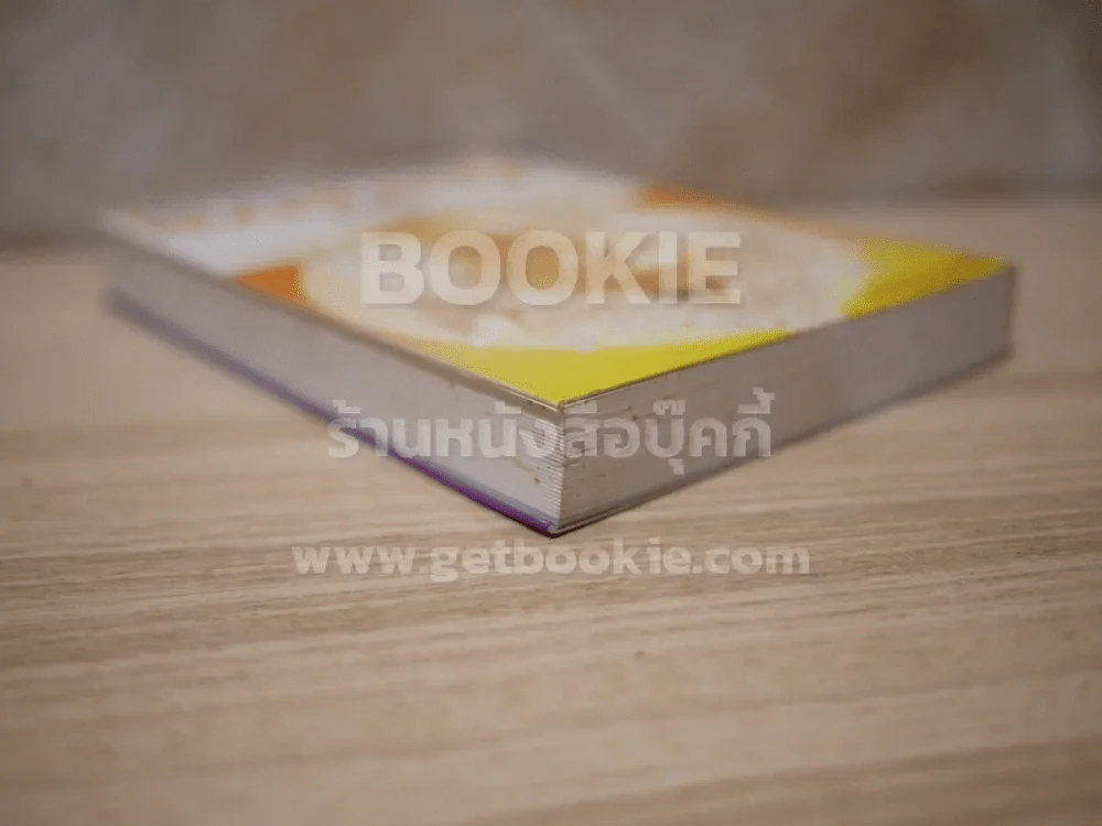 เวียงกุมกาม - ทมยันตี รูปที่ 4