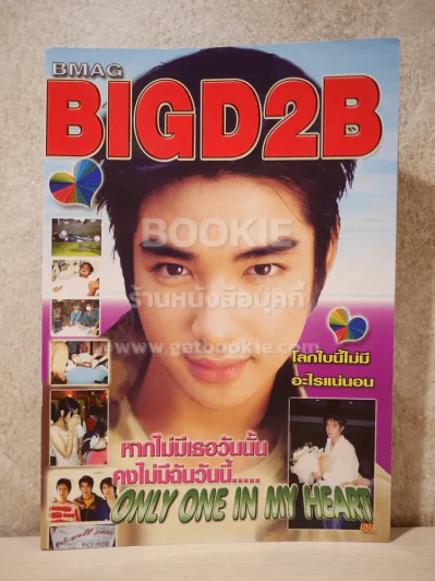 BMAG BIGD2B รูปที่ 1