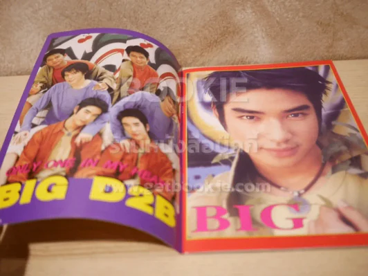BMAG BIGD2B รูปที่ 2