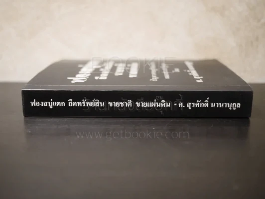 ฟองสบู่แตก ยึดทรัพย์สิน ขายชาติ ขายแผ่นดิน - ศ.สุรศักดิ์ นานานุกูล รูปที่ 2