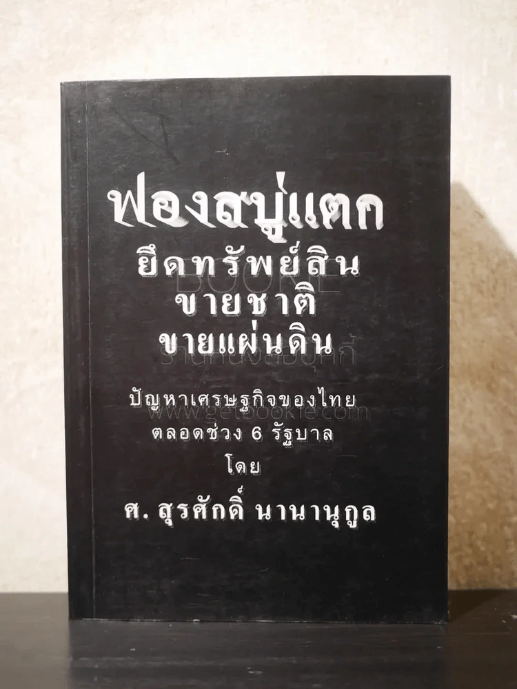 ฟองสบู่แตก ยึดทรัพย์สิน ขายชาติ ขายแผ่นดิน - ศ.สุรศักดิ์ นานานุกูล รูปที่ 1