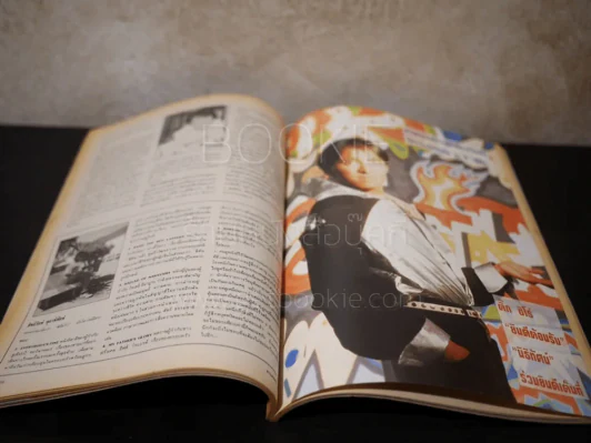 สีสัน ปีที่ 5 ฉบับที่ 12 พ.ศ.2536 รูปที่ 4