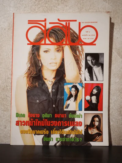สีสัน ปีที่ 6 ฉบับที่ 8 พ.ศ.2536 รูปที่ 1