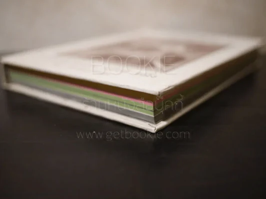 Remarks รวมงานบางส่วน ครั้งที่หนึ่ง ของ ฟ้า พลูวรลักษณ์ รูปที่ 4