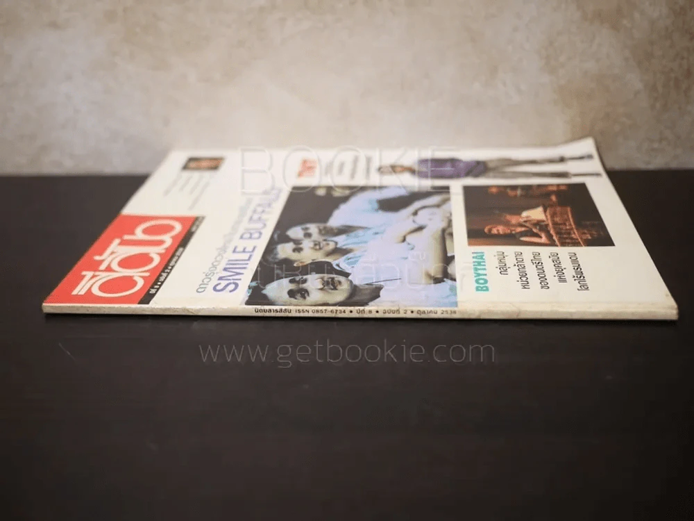 สีสัน ปีที่ 8 ฉบับที่ 2 พ.ศ.2538 รูปที่ 2