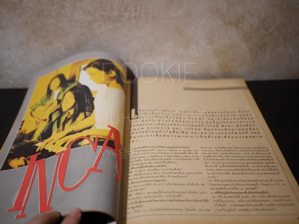 สีสัน ปีที่ 6 ฉบับที่ 8 พ.ศ.2536 รูปที่ 4