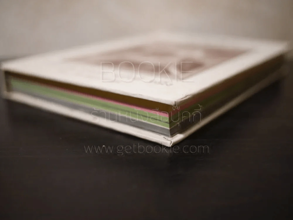Remarks รวมงานบางส่วน ครั้งที่หนึ่ง ของ ฟ้า พลูวรลักษณ์ รูปที่ 4