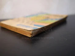 ดึกเสียแล้ว - มนัส จรรยงค์ รูปที่ 4