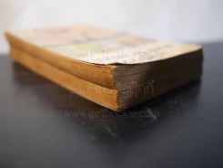 บางลำภูแสควร์ + ฝนซาฟ้าหม่น (บางลำภูแสควร์ เล่ม 2) - รงค์ วงษ์สวรรค์ รูปที่ 5