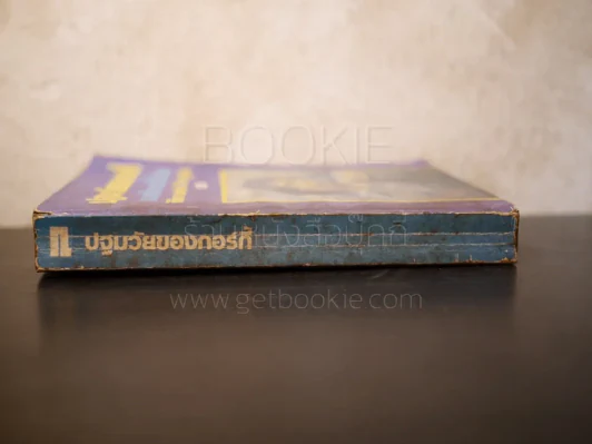 ปฐมวัยของกอร์กี้ - แมกซิม กอร์กี้ รูปที่ 2
