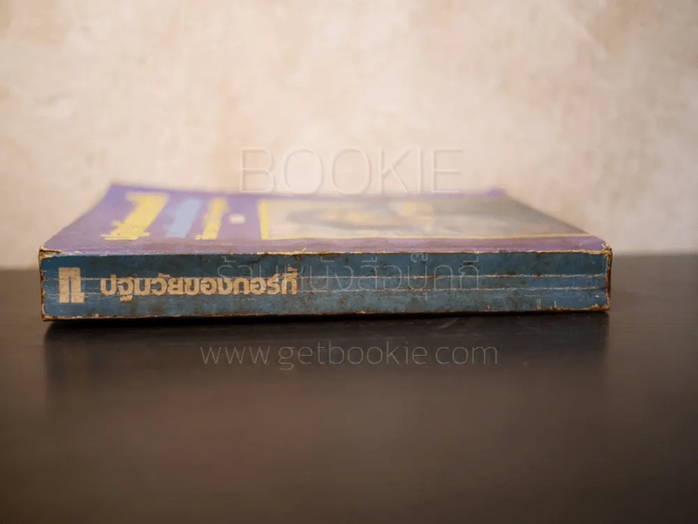 ปฐมวัยของกอร์กี้ - แมกซิม กอร์กี้ รูปที่ 2