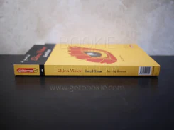 China Vision มังกรฝ่าวิกฤต รูปที่ 2